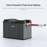 Renogy 12 V 60 A MPPT Solar Charge Controller Smart Off-Grid Power System